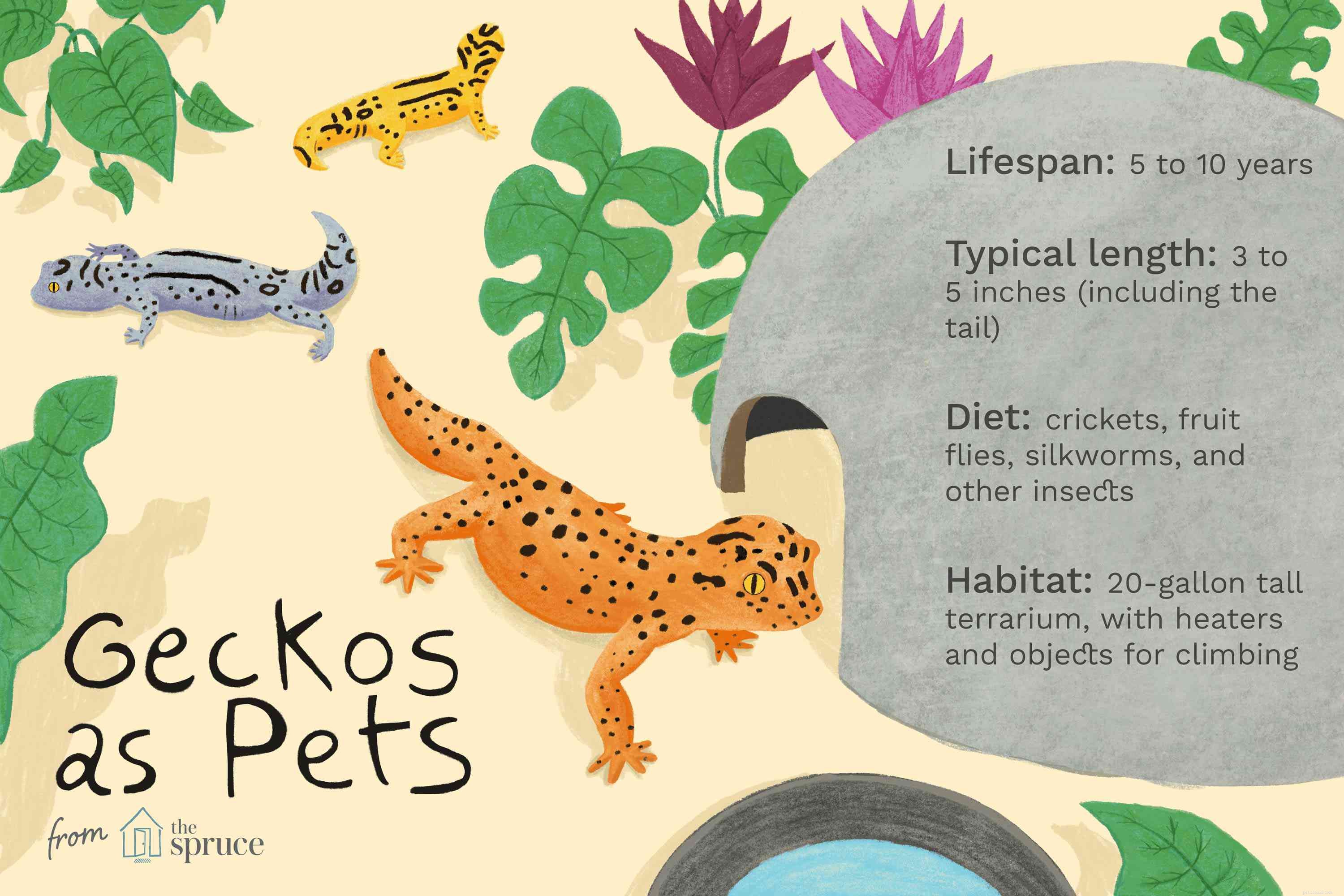 Common House Gecko: Comprehensive Care & Behavior Guide