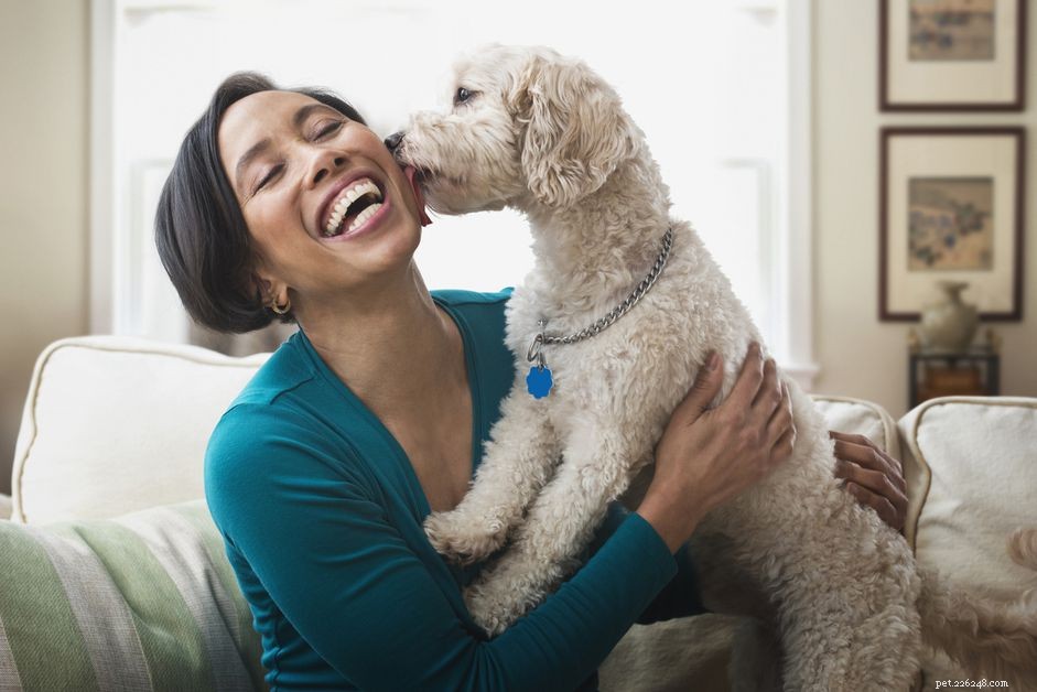8 Myths About Rabies in Dogs: What You Must Know