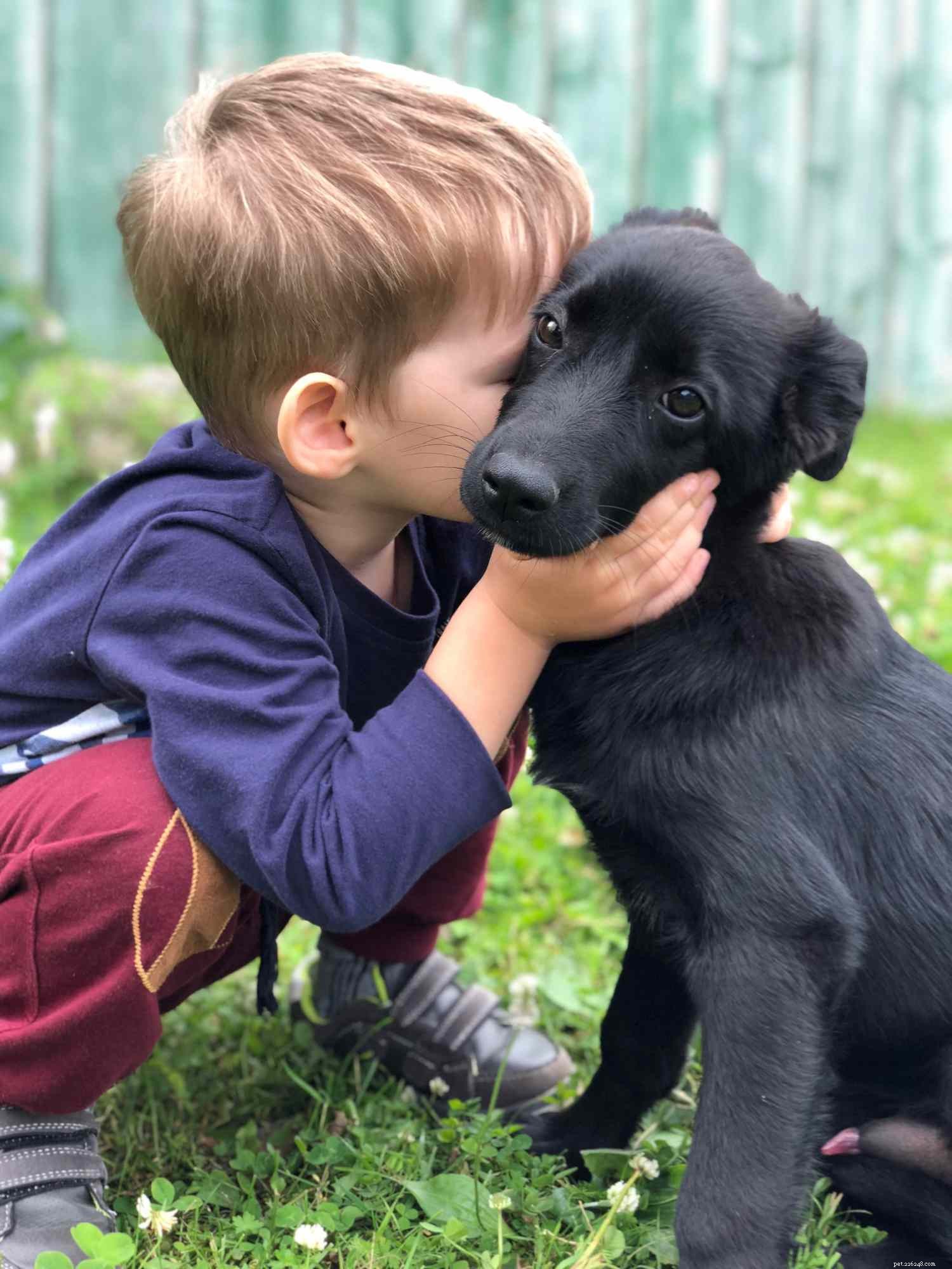 8 Myths About Rabies in Dogs: What You Must Know