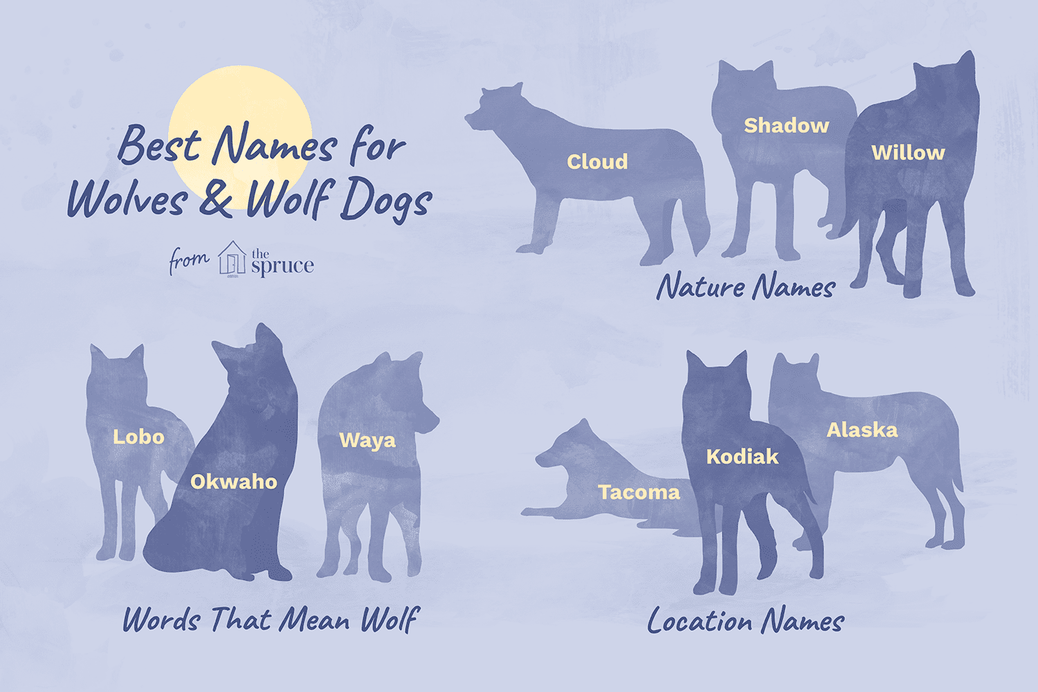 Choosing the Perfect Name for Your Wolfdog or Wolf Companion