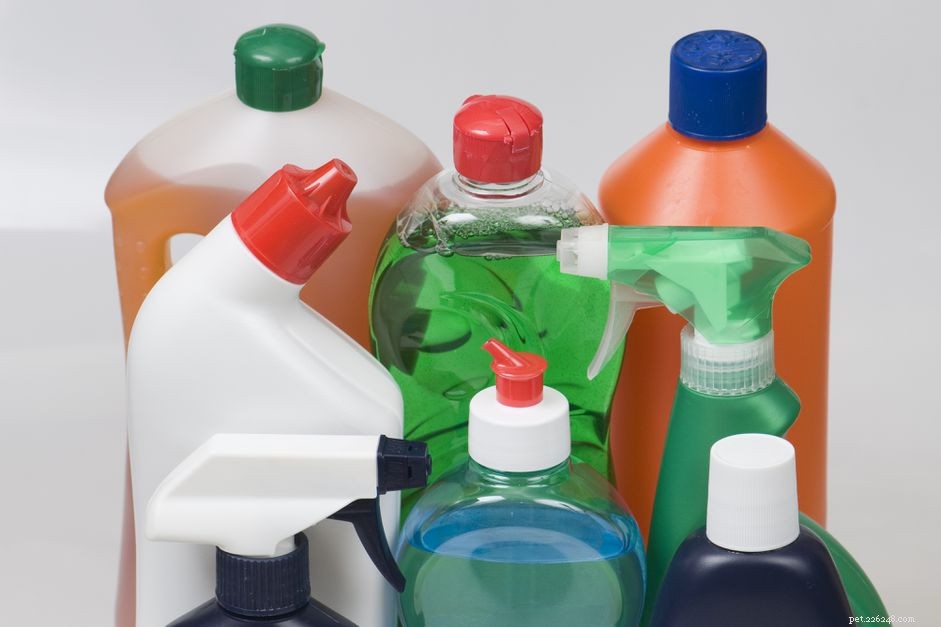 Hidden Household Hazards: Chemicals That Poison Dogs & How to Keep Them Safe