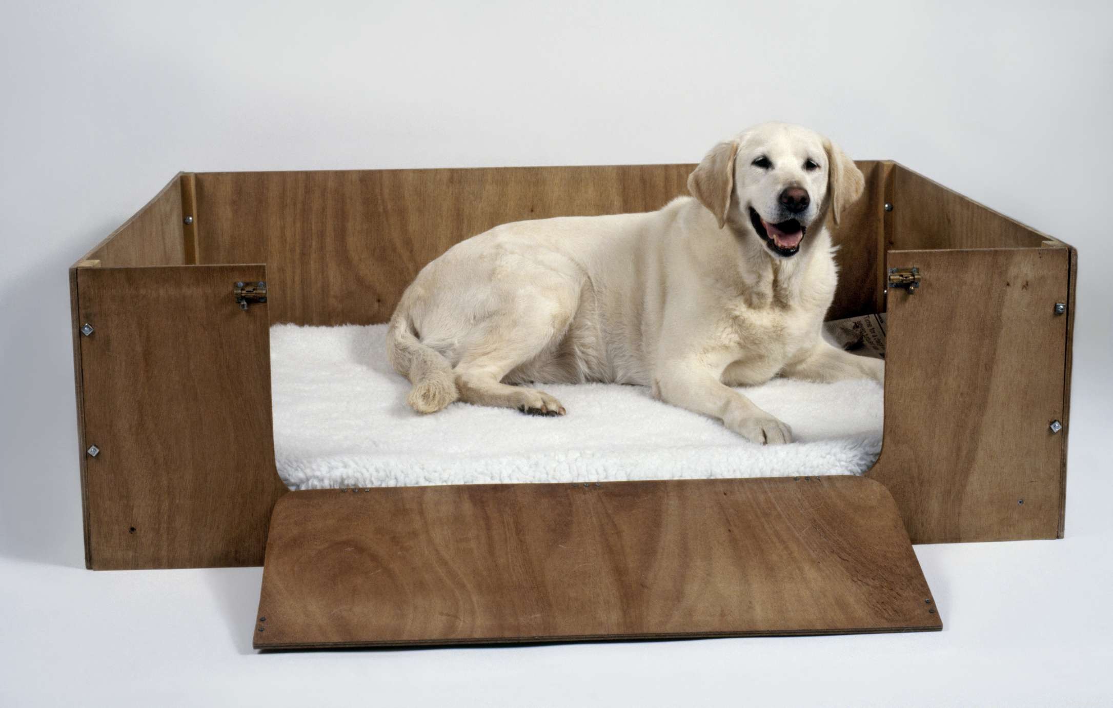 Essential Guide to Caring for Pregnant Dogs and Preparing for Whelping