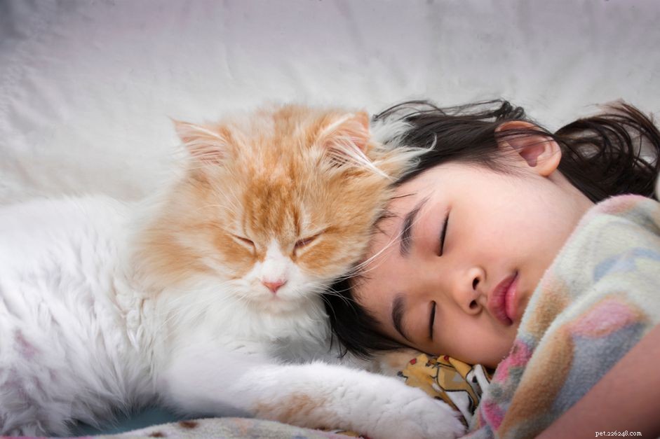 Can Cats Catch Your Cold? Understanding Zoonotic Transmission