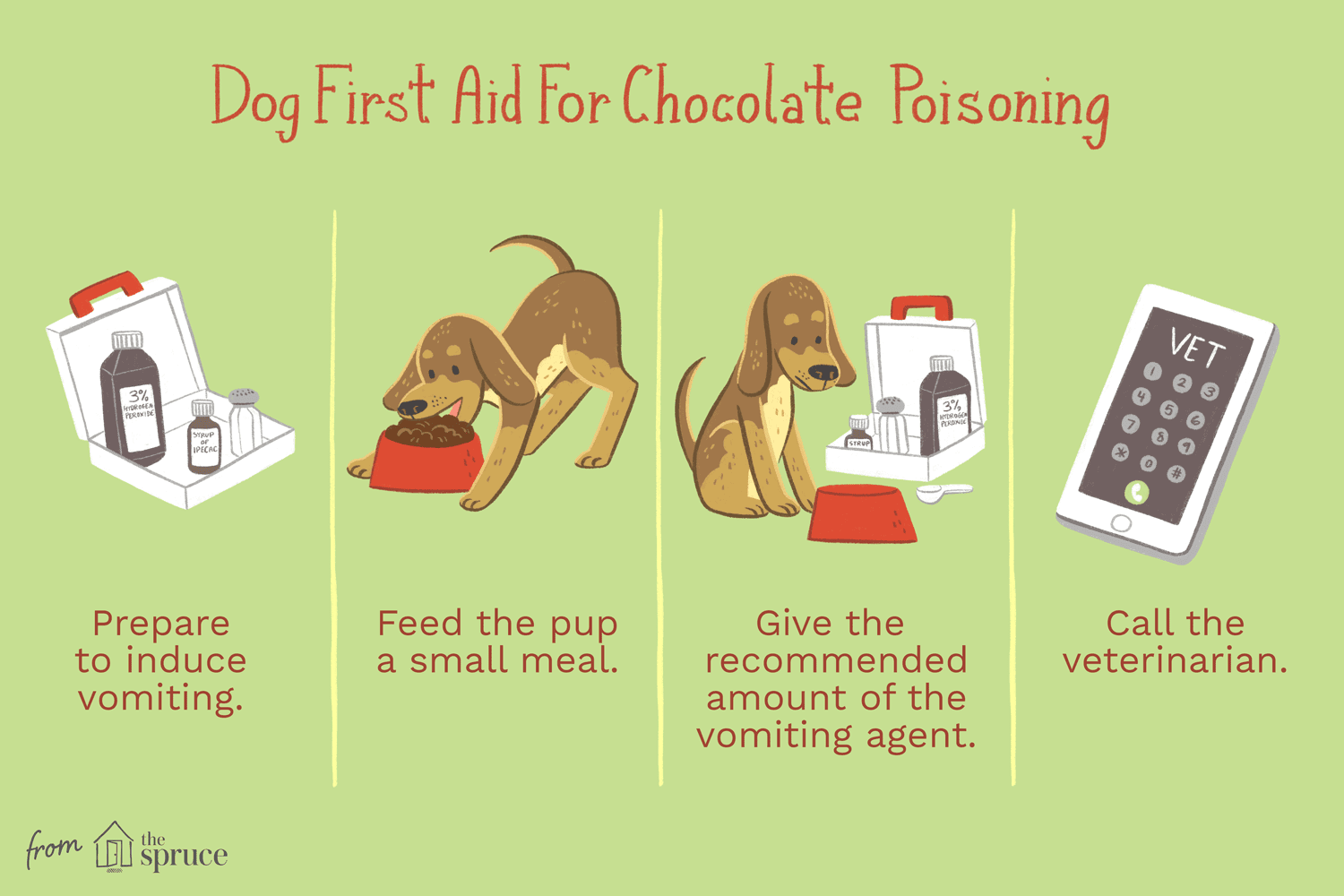 Treating Chocolate Poisoning in Dogs: Quick, Safe Steps for Pet Owners