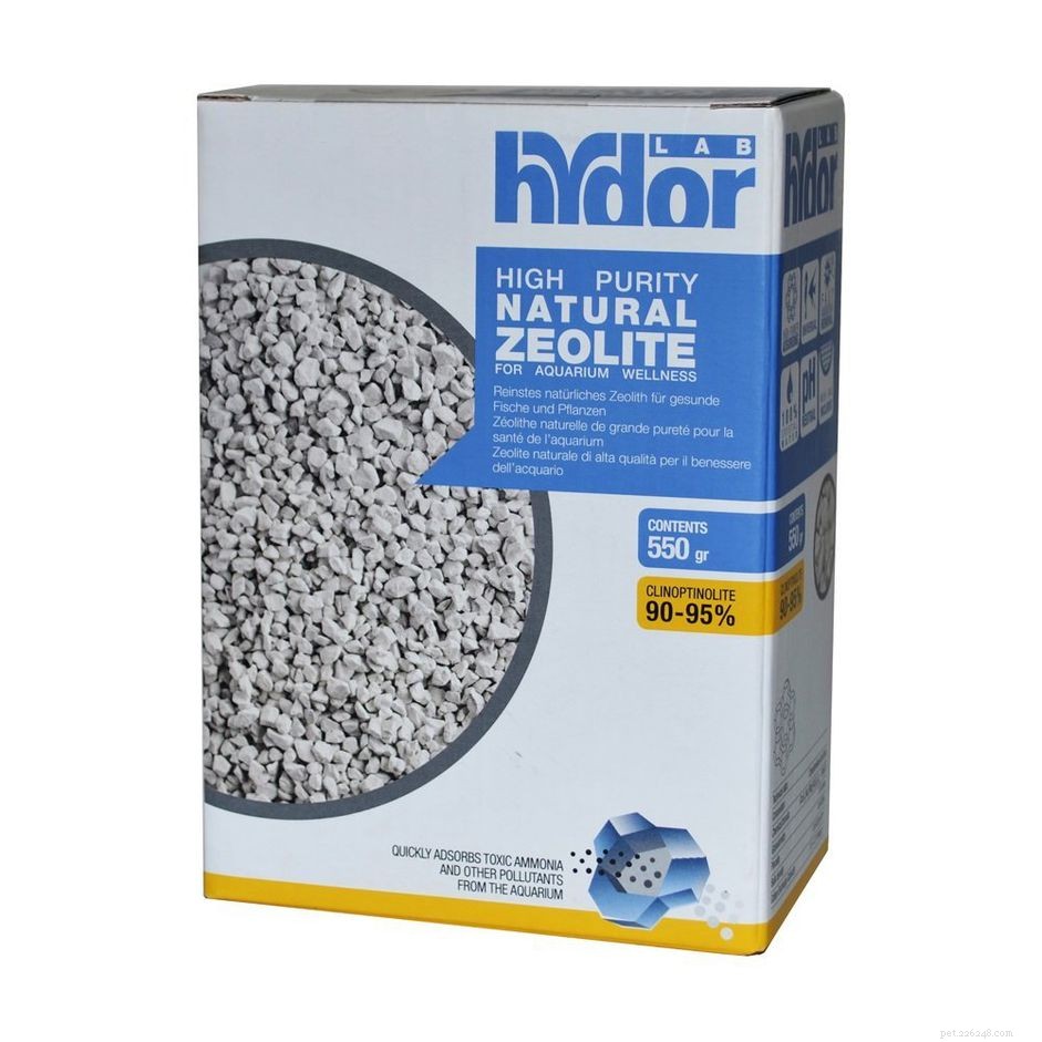 When to Use Zeolite in Your Aquarium – Expert Guide