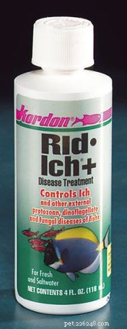Comprehensive Guide to Marine Ich and Other Aquarium Fish Parasites