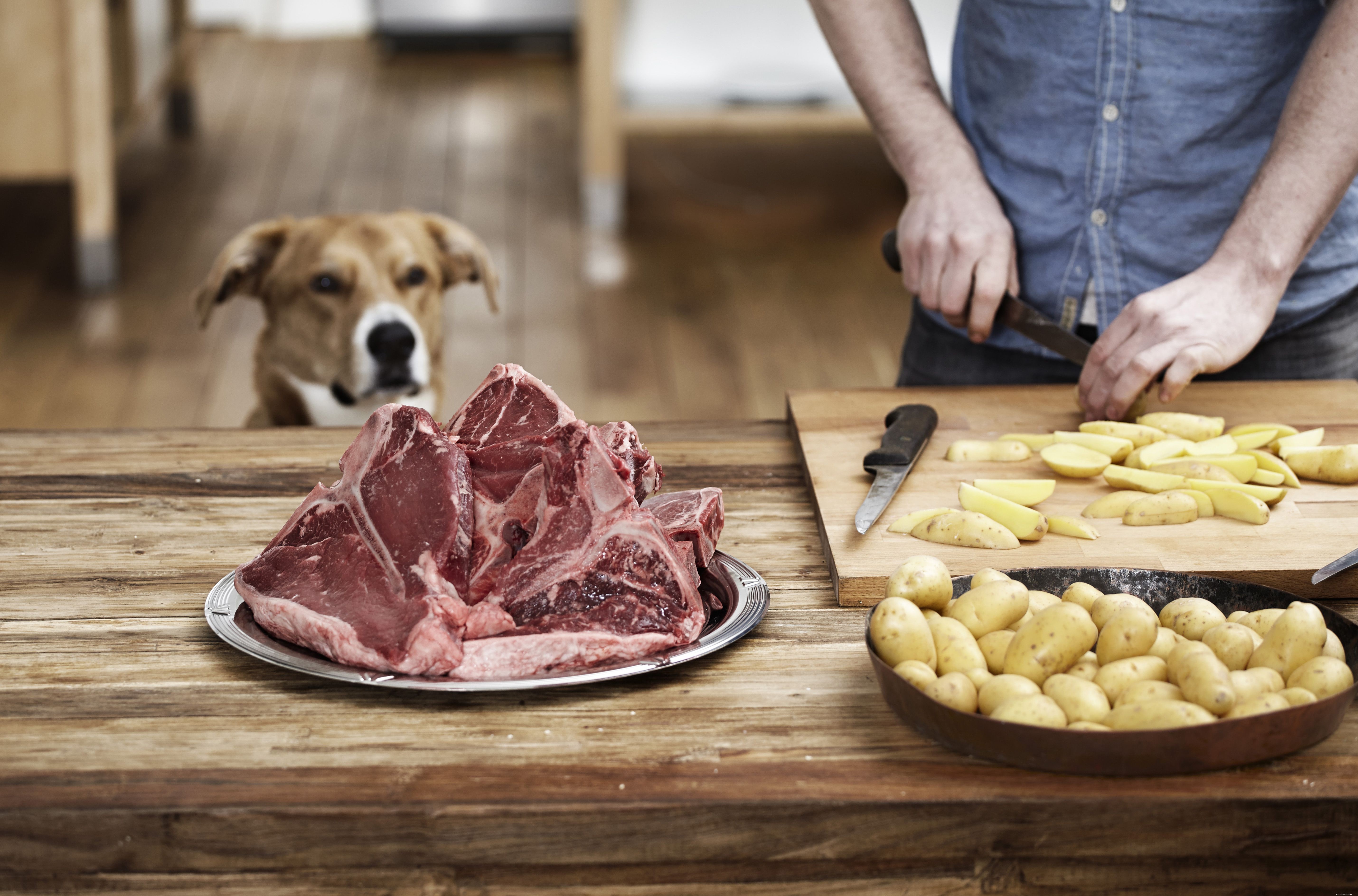 Understanding Salmonella: Symptoms, Risks, and Effective Treatments
