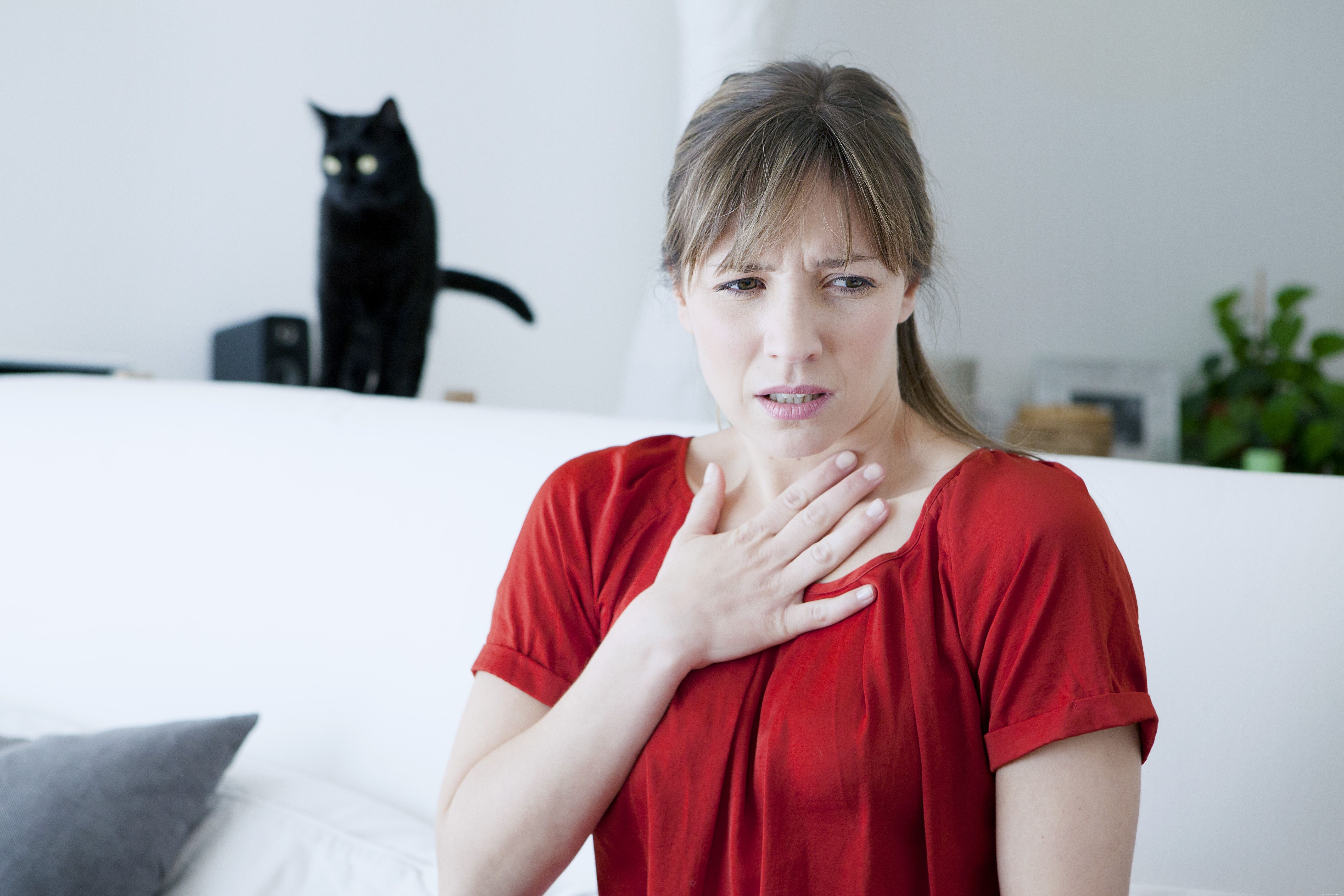 Why Some People Dislike Cats: 5 Common Reasons Explained