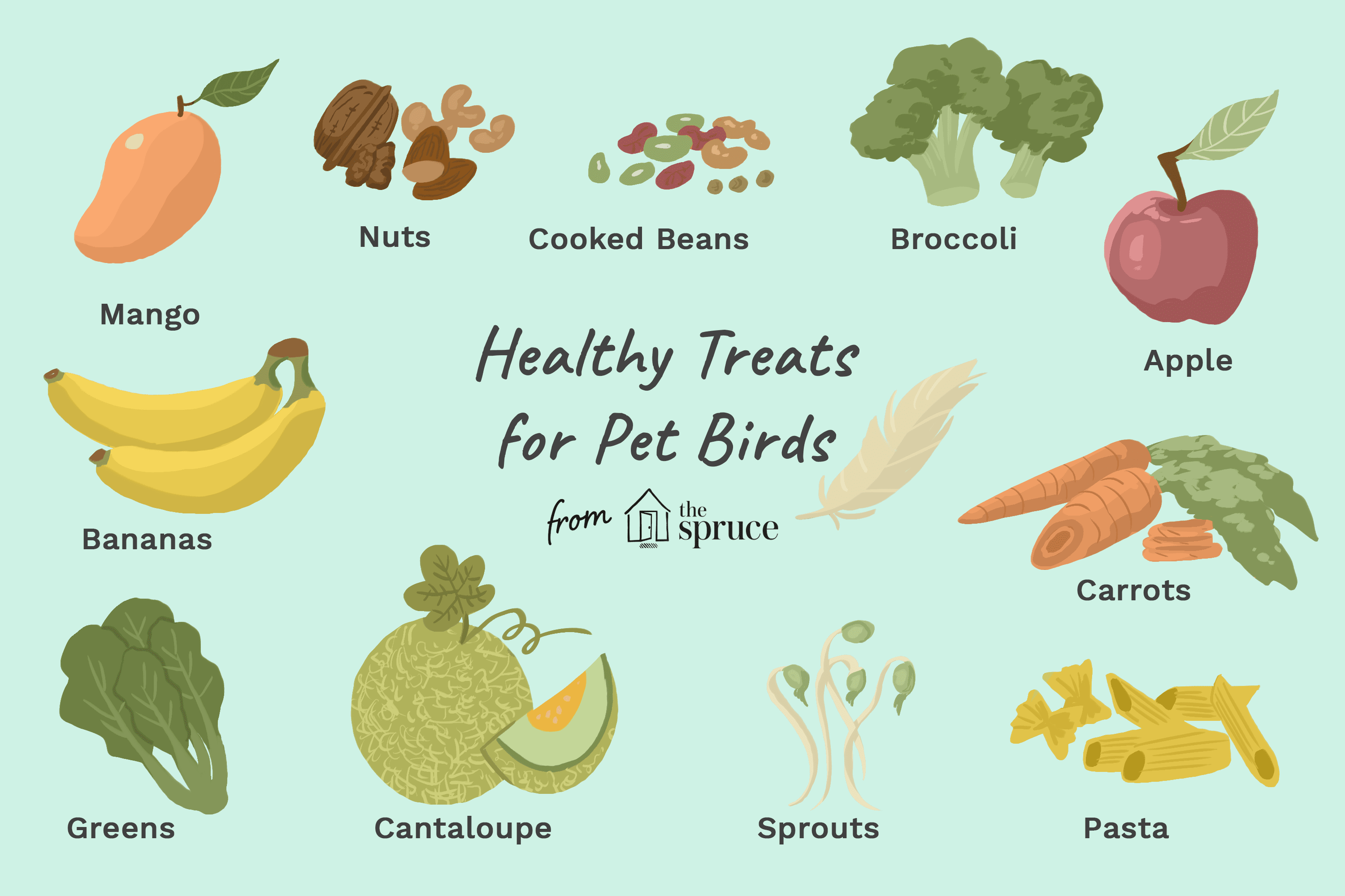 10 Nutritious Treats Your Bird Will Love
