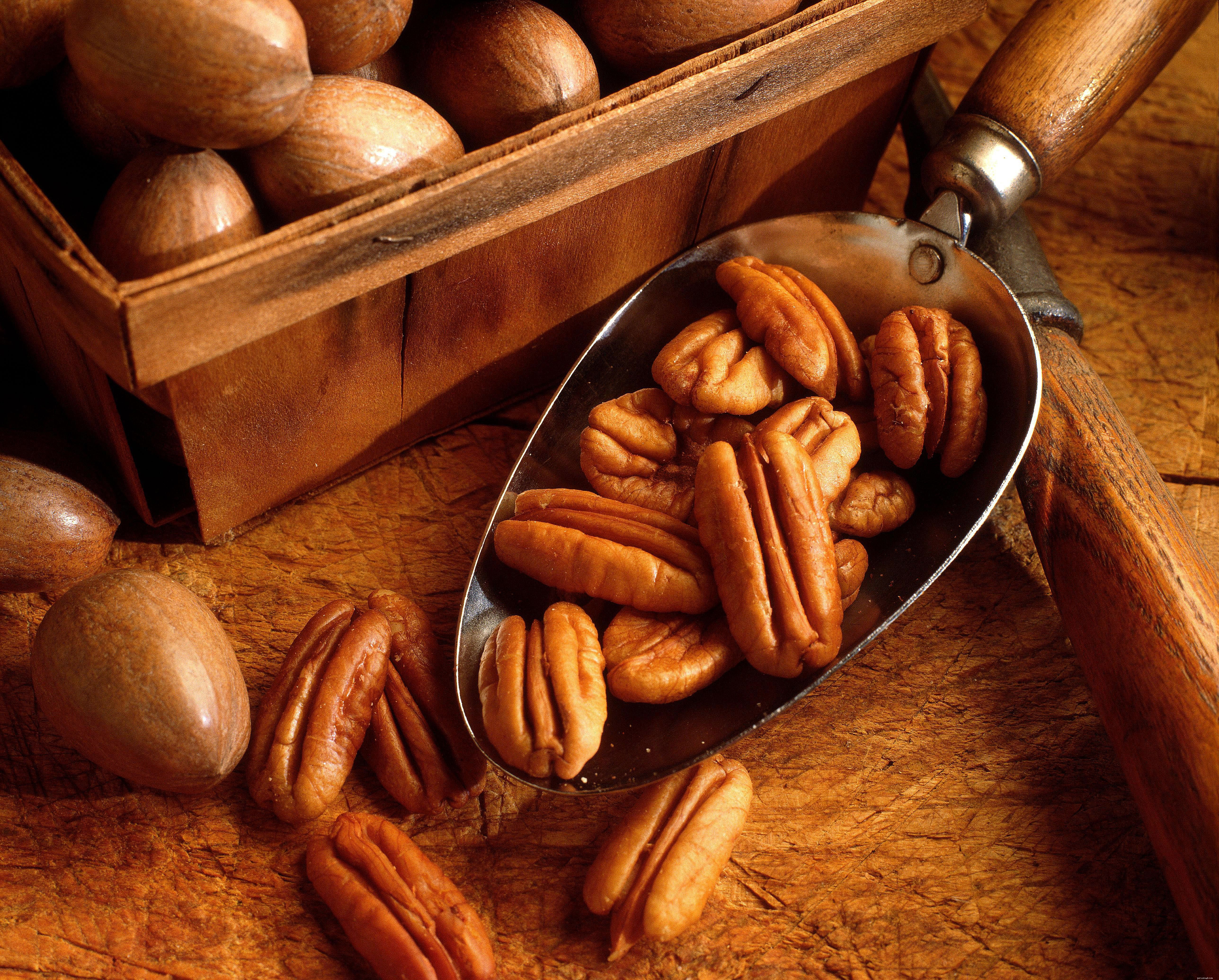 10 Nutritious Treats Your Bird Will Love