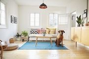 Shar-Pei Dog Breed: Characteristics, Care, and Training Essentials