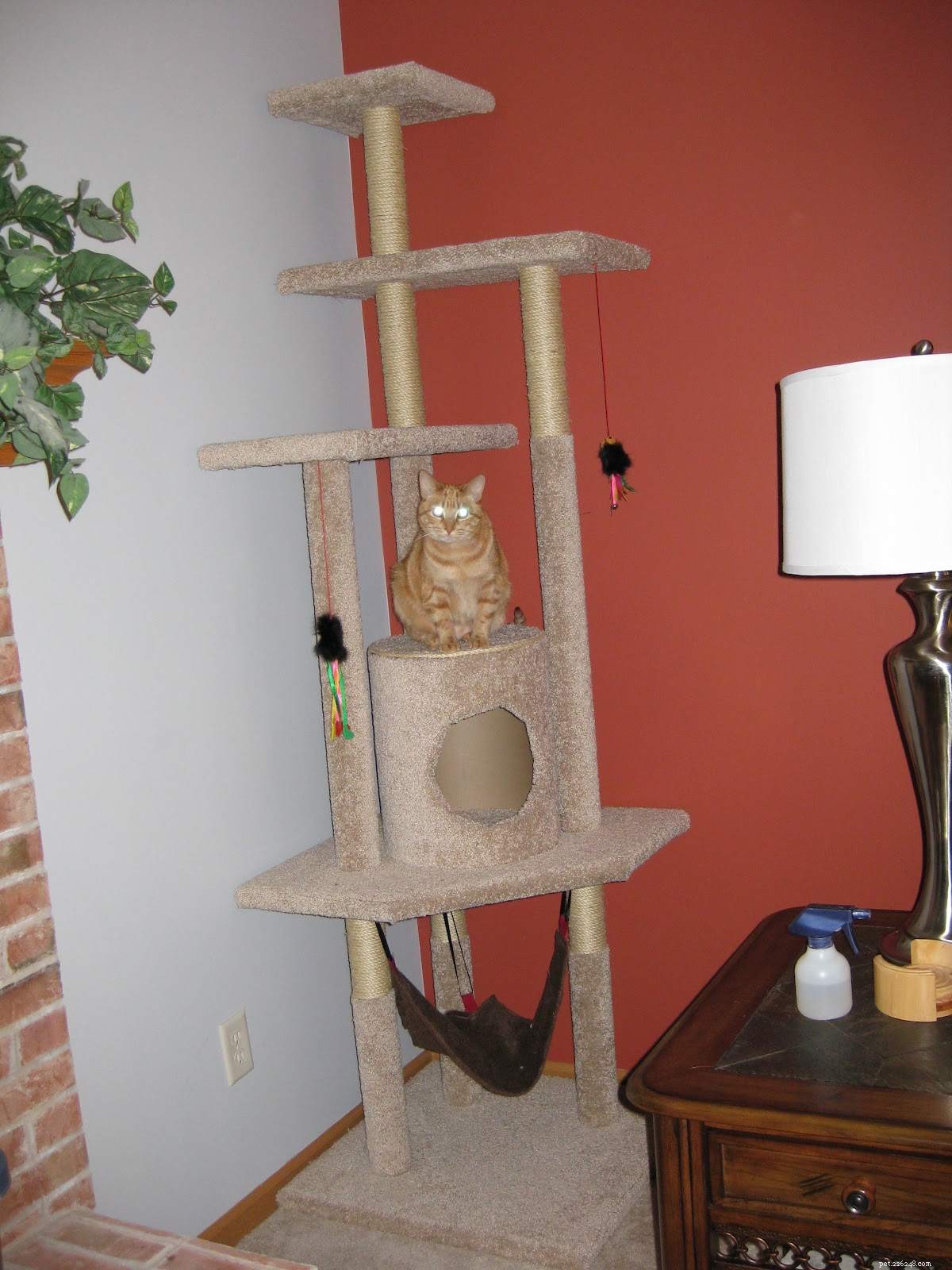 Build Your Own Cat Tree: 8 Free, Easy DIY Plans with Step‑by‑Step Instructions