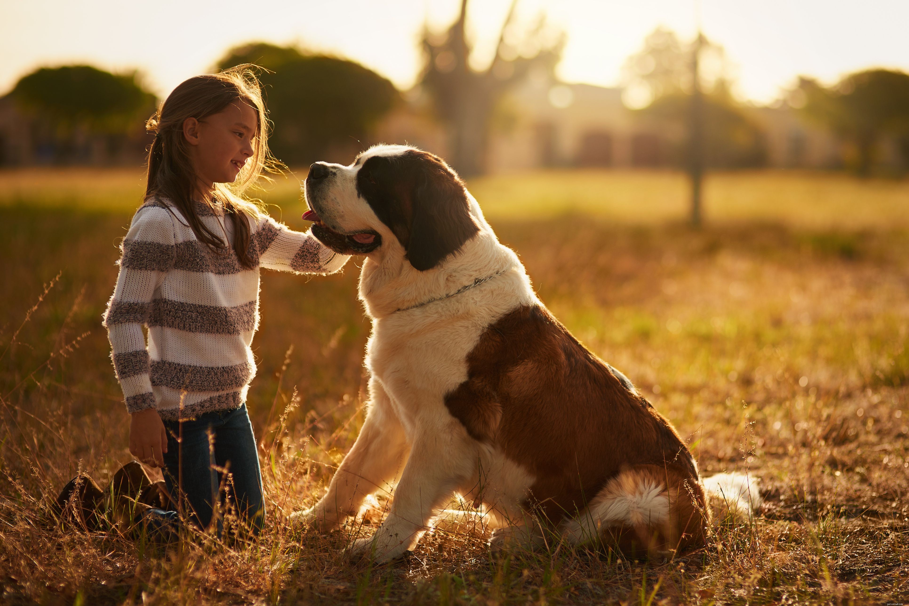 How to Care for Giant Dog Breeds: Expert Tips for Health & Happiness