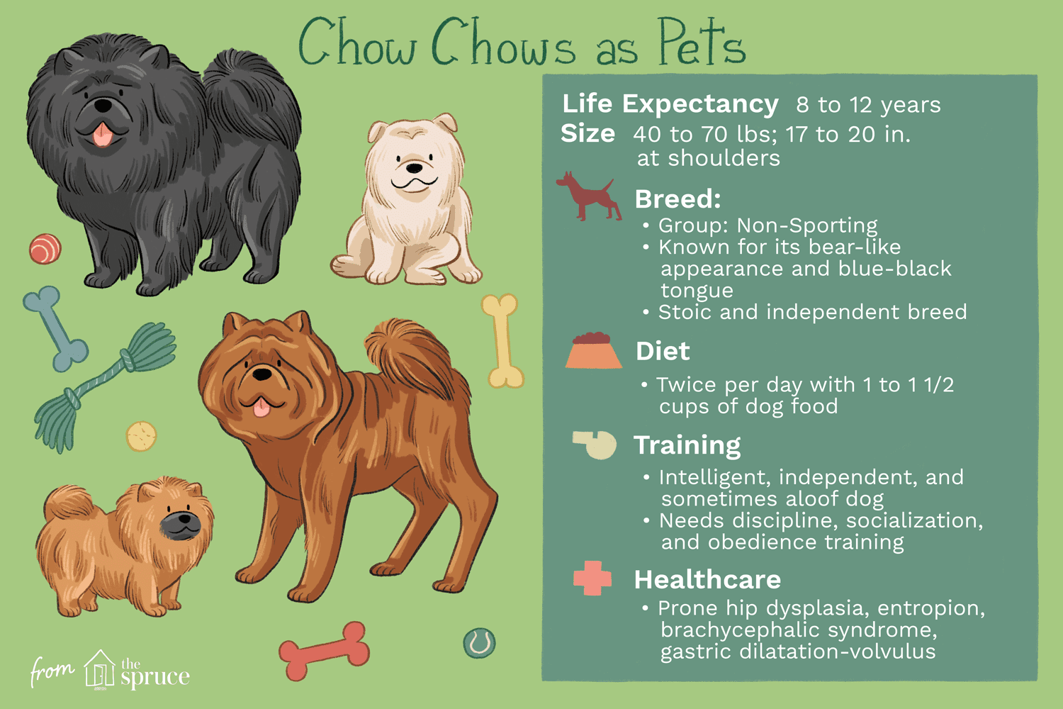 Chow Chow Dog Breed: Key Traits, Care, and Health Guide