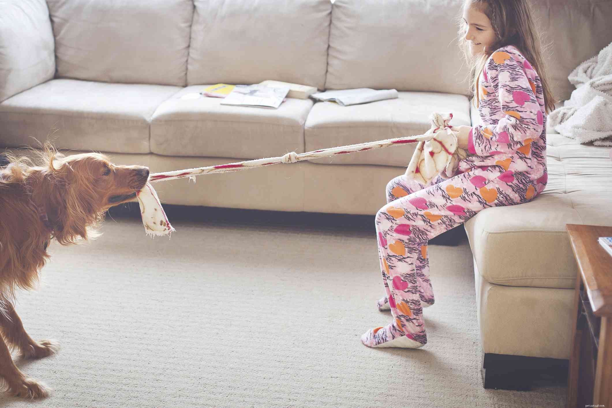 Keep Your Dog Active and Healthy This Winter: 6 Expert Tips