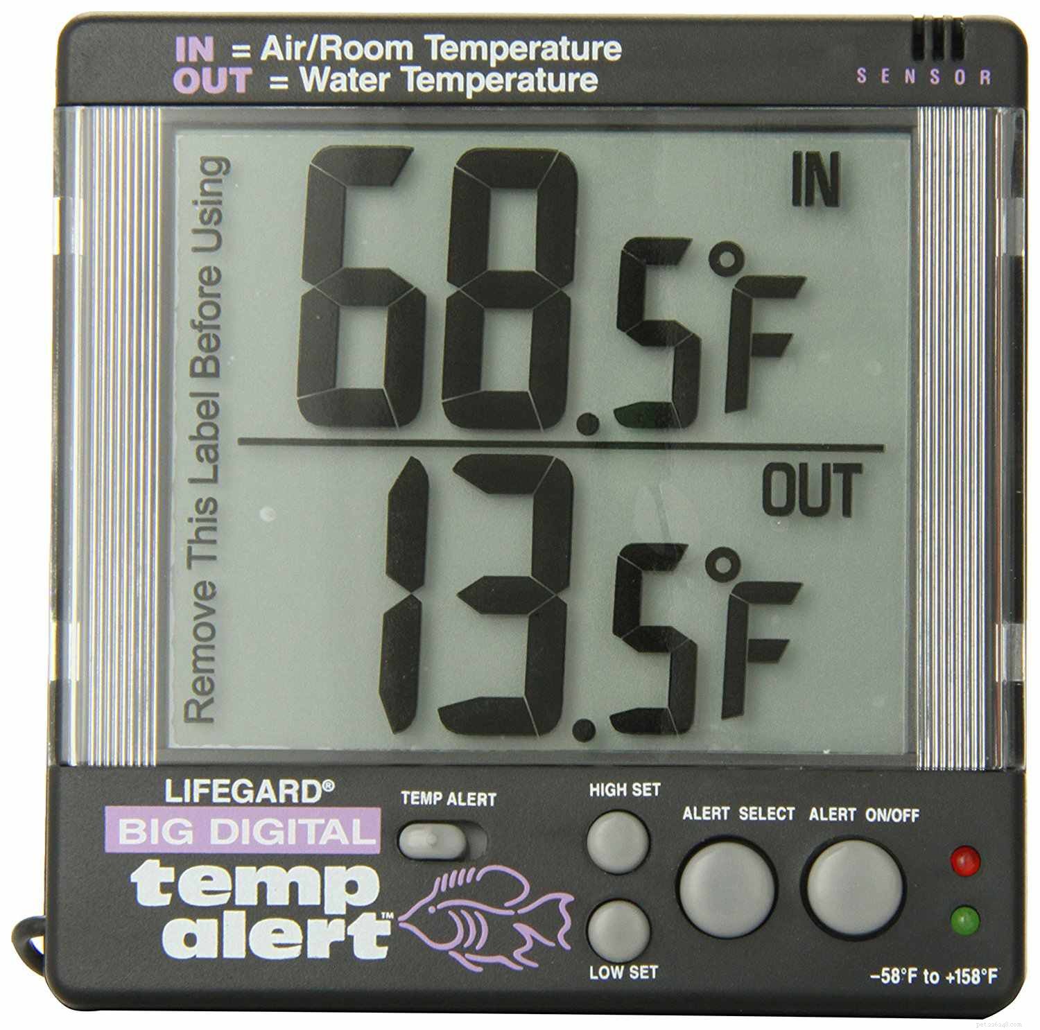Choosing the Right Aquarium Thermometer: Types & Tips