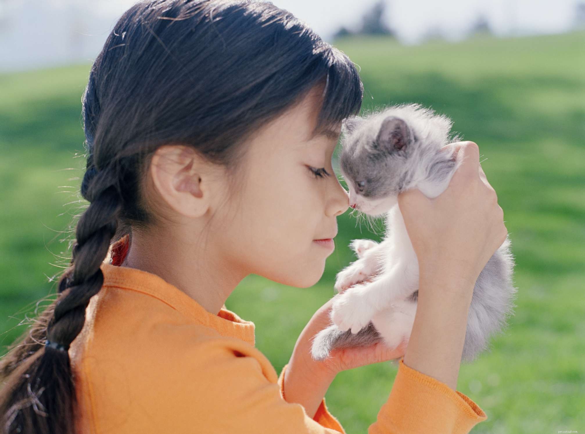 12 Proven Ways Cats Express Their Love to You