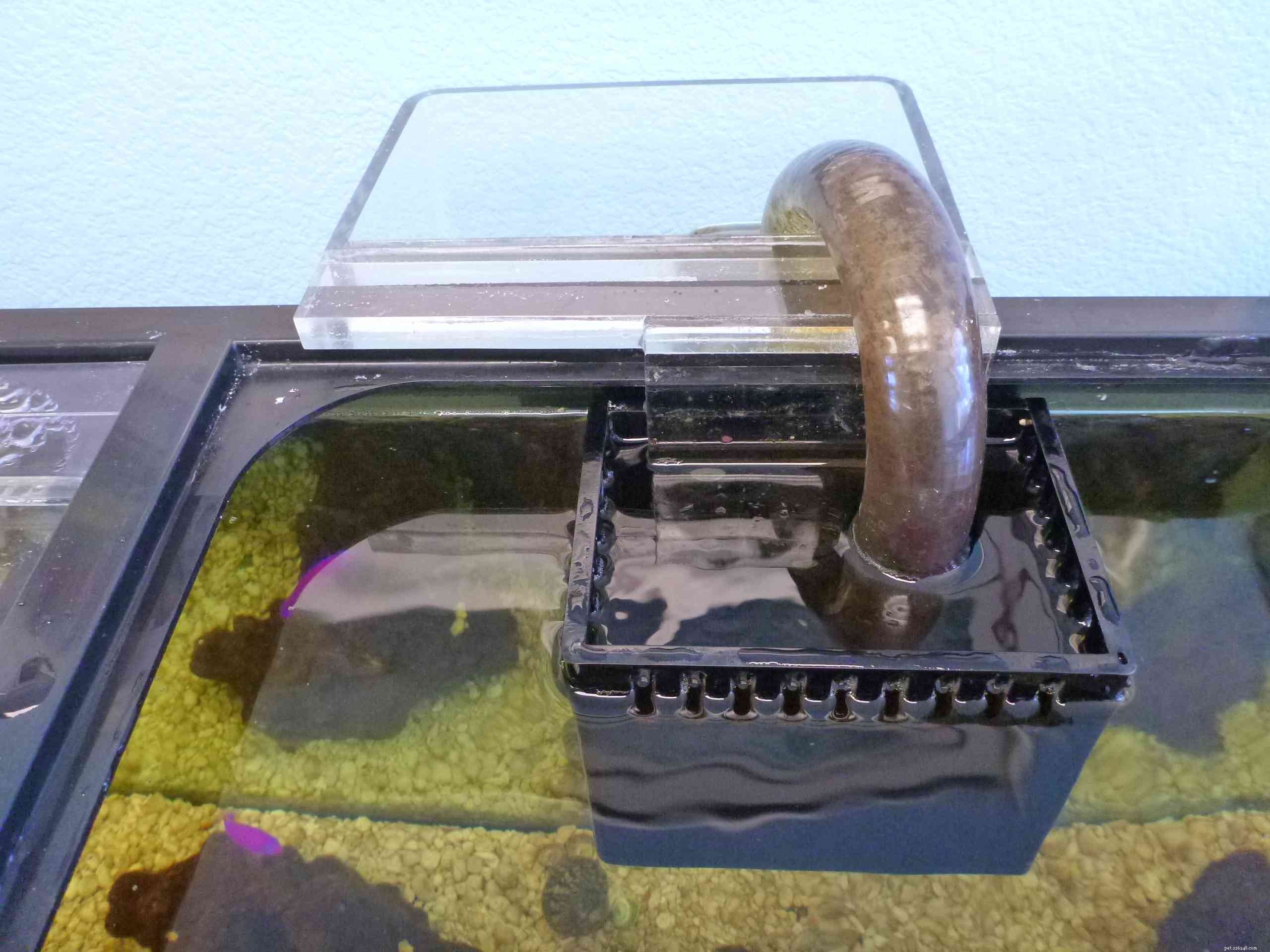Expert Guide to Aquarium Sump & Overflow Box Setups