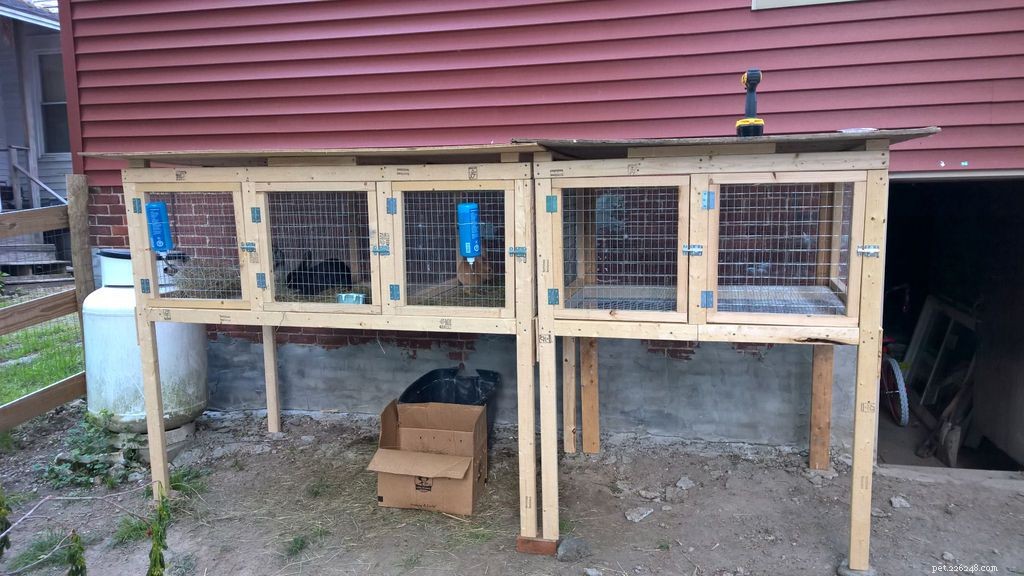 8 Expert-Approved Free Plans for Building Your Own Rabbit Hutch