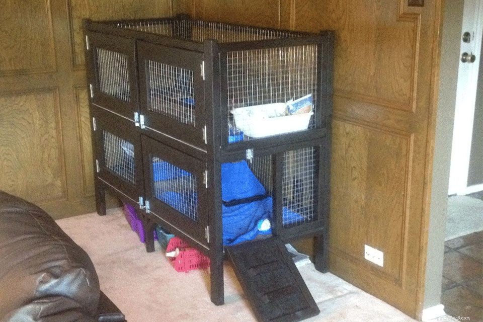 8 Expert-Approved Free Plans for Building Your Own Rabbit Hutch
