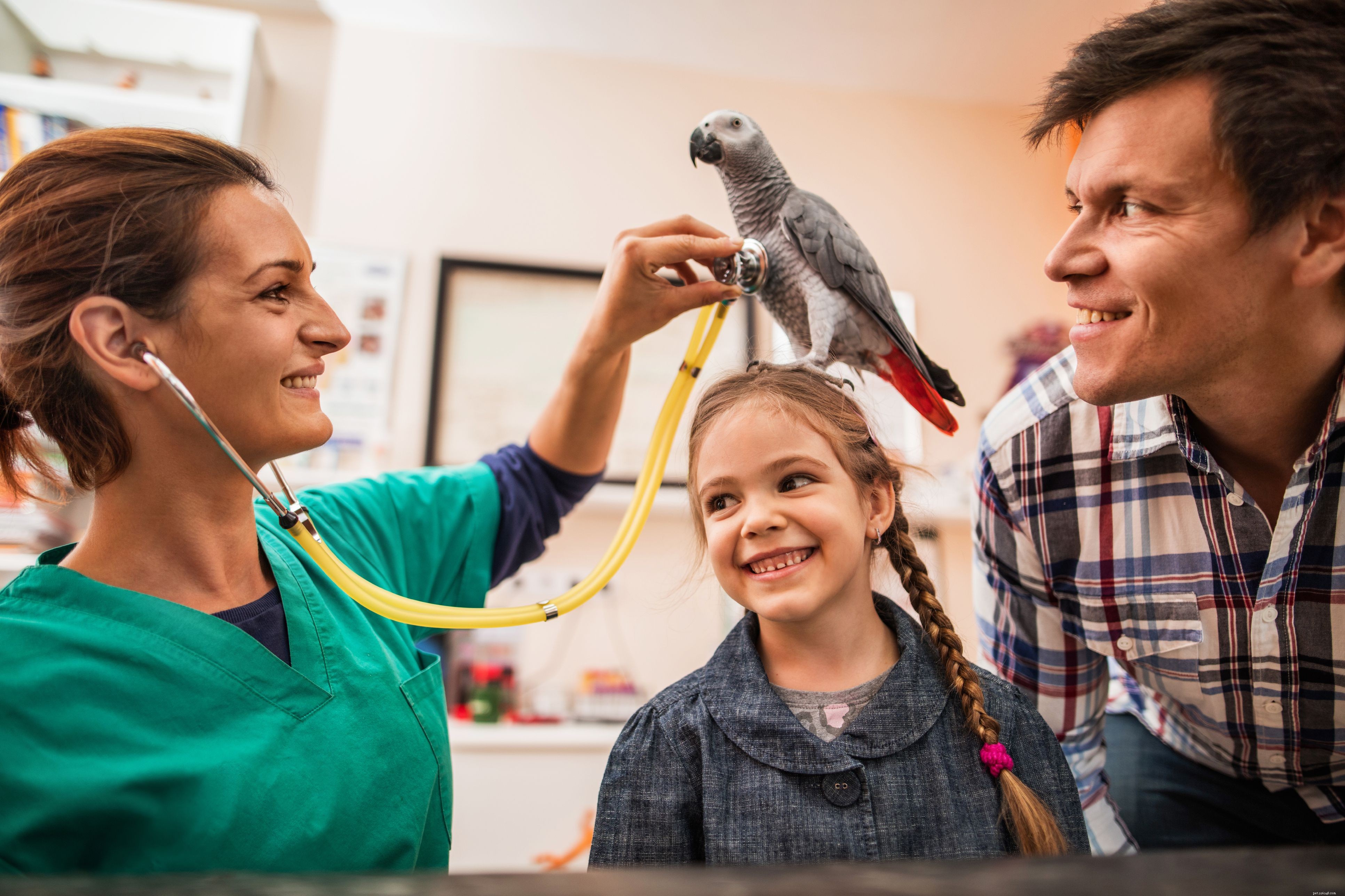 Why Birds Outshine Cats and Dogs as Pets