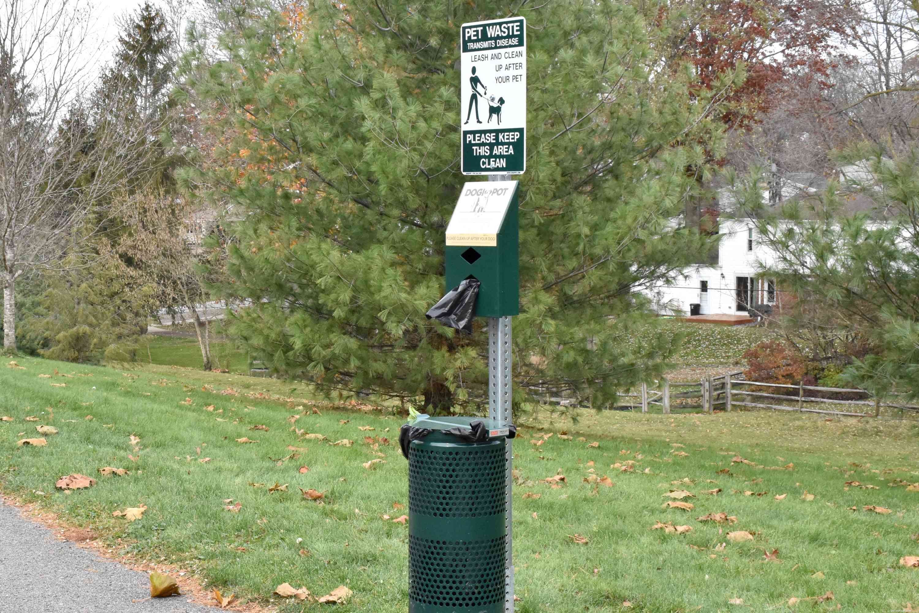 Mastering Dog Walking: Tips for a Healthy, Bonding Experience