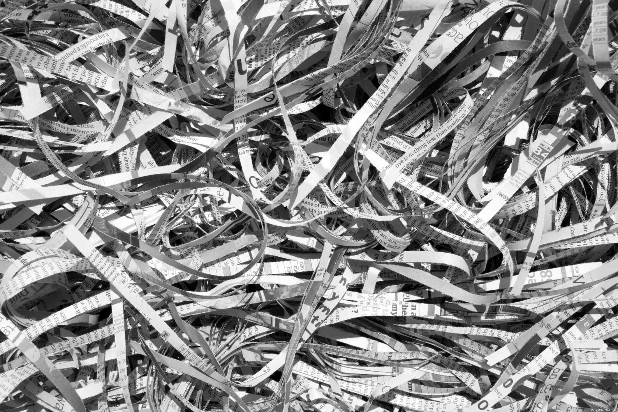 Choosing the Best Bedding for Your Savannah Monitor: Expert Tips