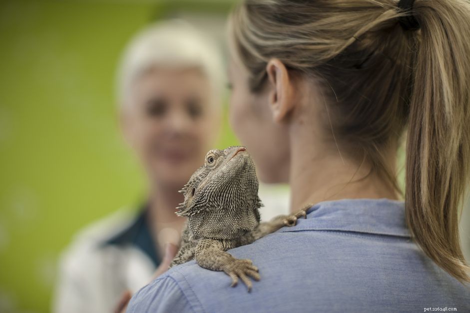 Michigan s Expert Exotic Pet Veterinarians: Specialized Care for Birds, Reptiles, and More