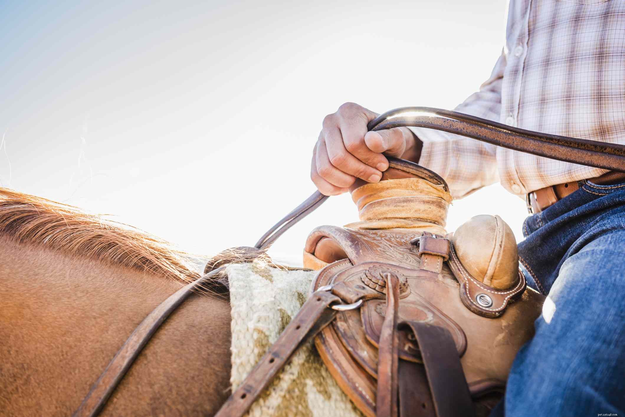 Avoid These 7 Common Mistakes When Training Horses