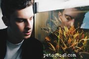 Effective Guide to Removing Gravel Algae in Your Aquarium