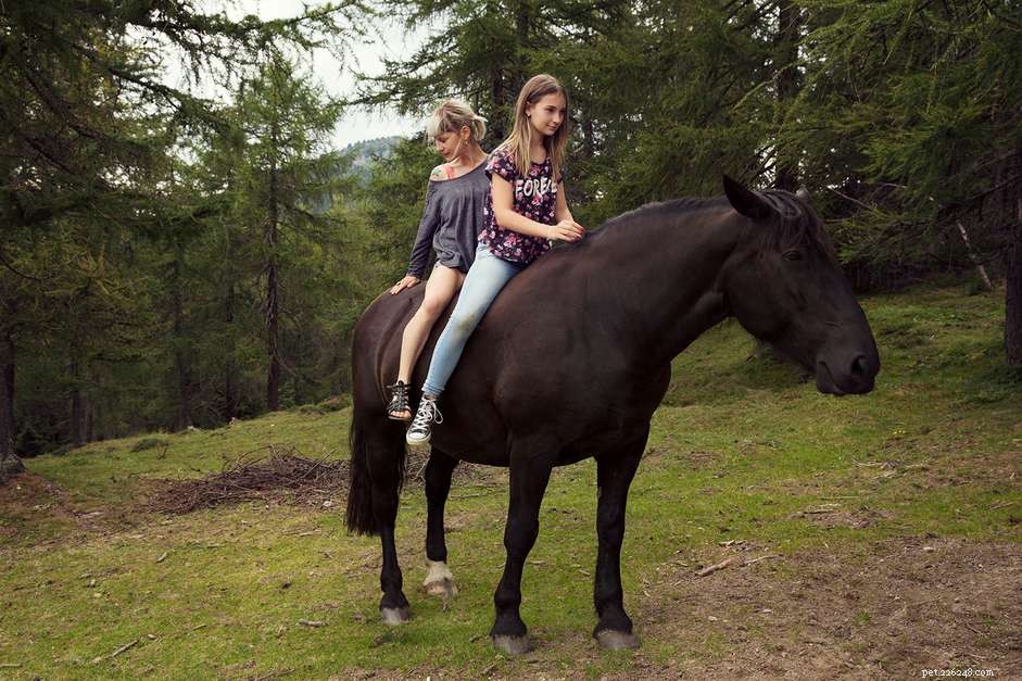 Master Bareback Riding: A Proven Training Guide for Your Horse