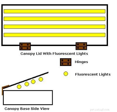 DIY Custom Aquarium Canopy: Build a Stylish, Cost‑Effective Cover in 4–5 Hours