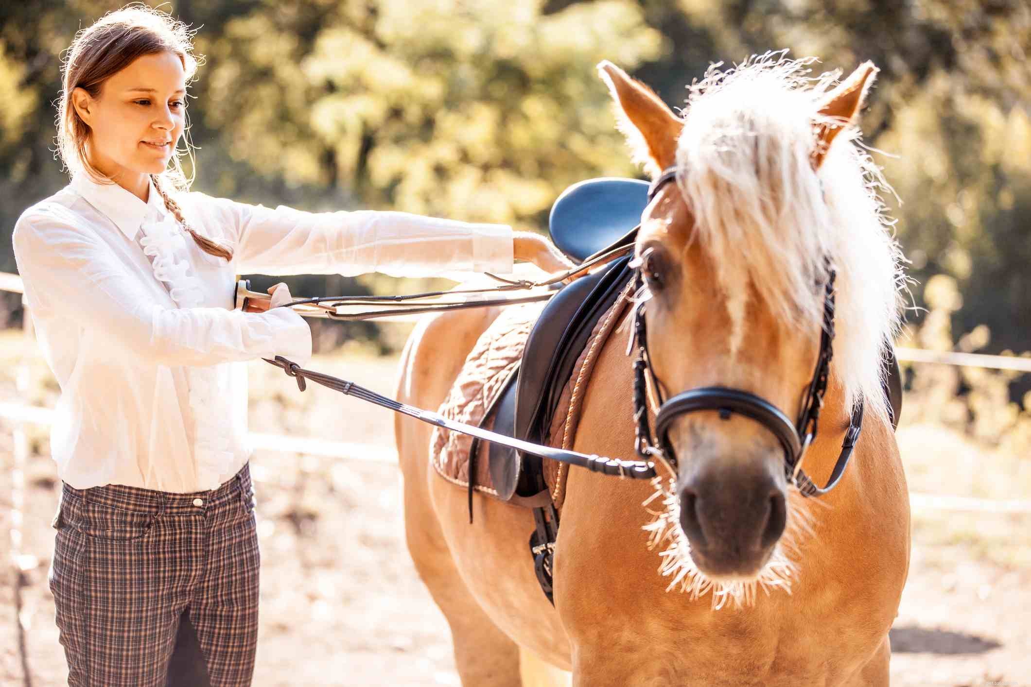 Accurate Horse Height Measurement: A Practical Guide