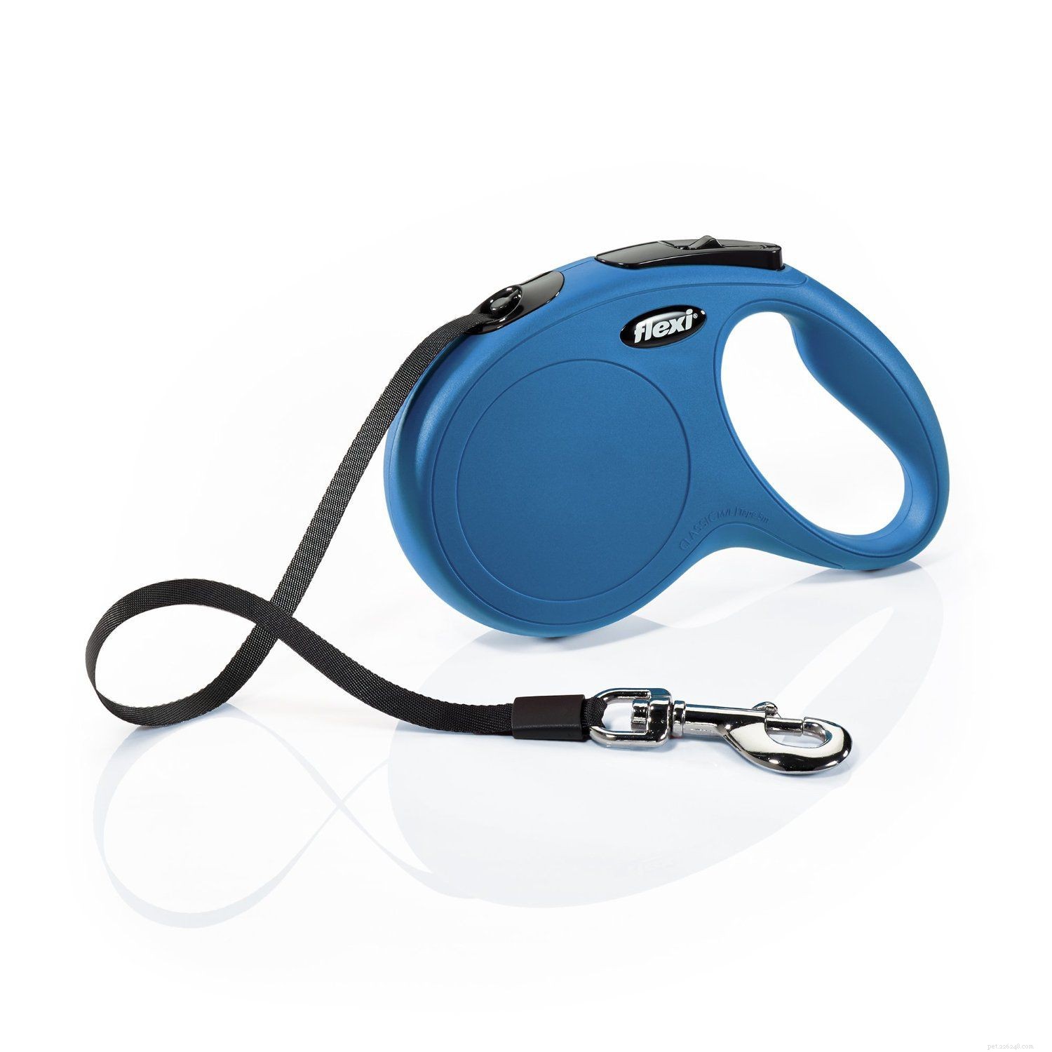 Discover the 5 Essential Dog Leashes Every Owner Should Know
