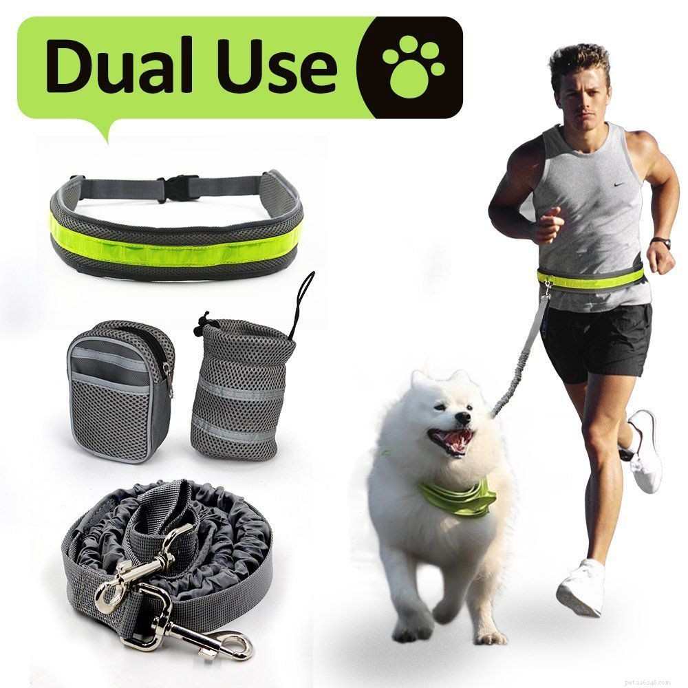 Discover the 5 Essential Dog Leashes Every Owner Should Know