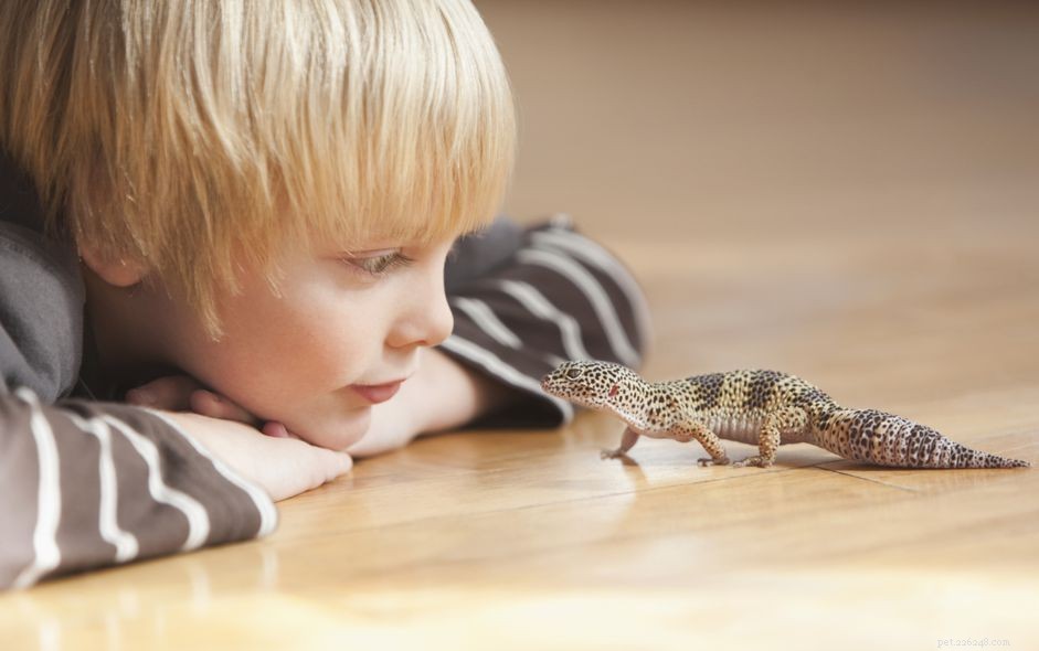 The 6 Most Kid‑Friendly Reptiles: Easy, Low‑Maintenance Pets