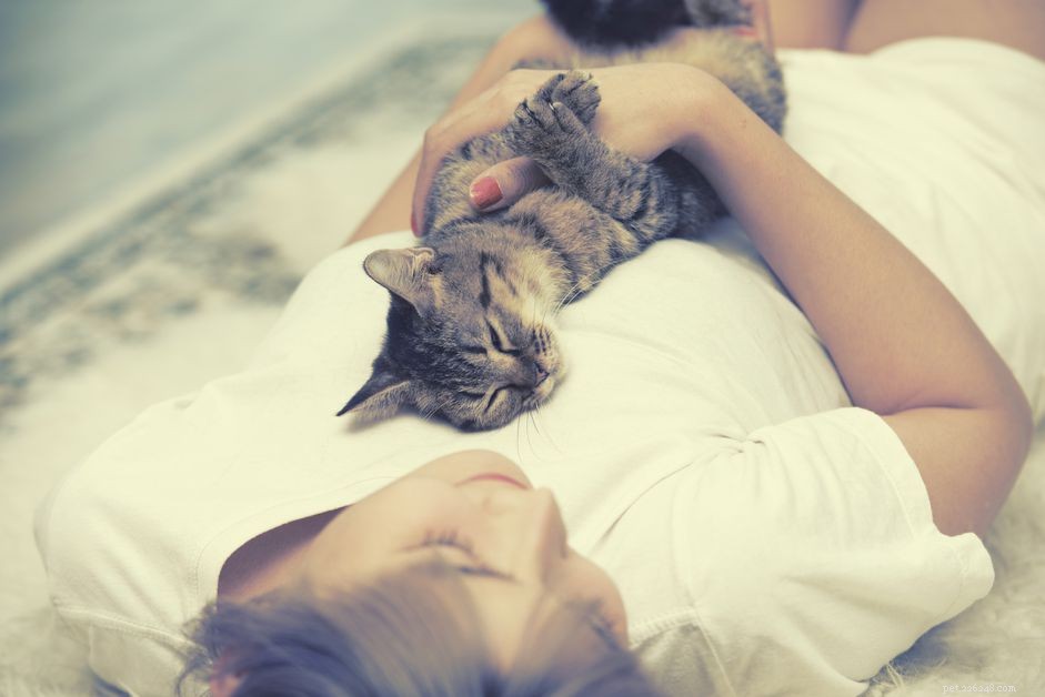 Why Do Cats Prefer to Lie on Your Chest? Insights & Tips