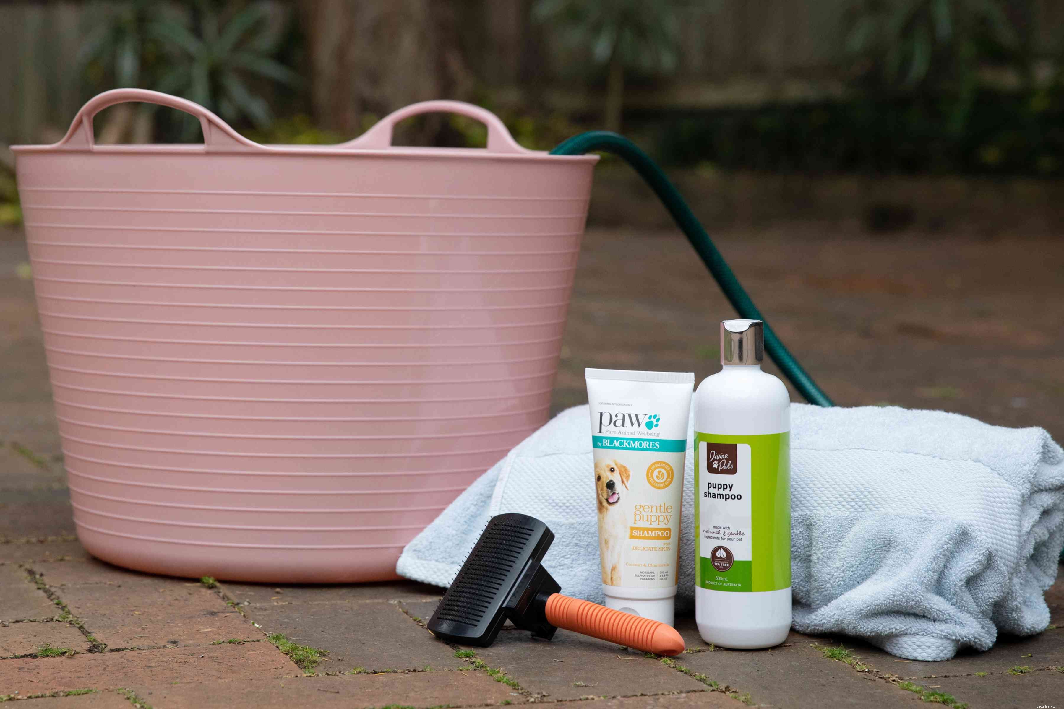 Essential Guide to Bathing and Grooming Your Puppy