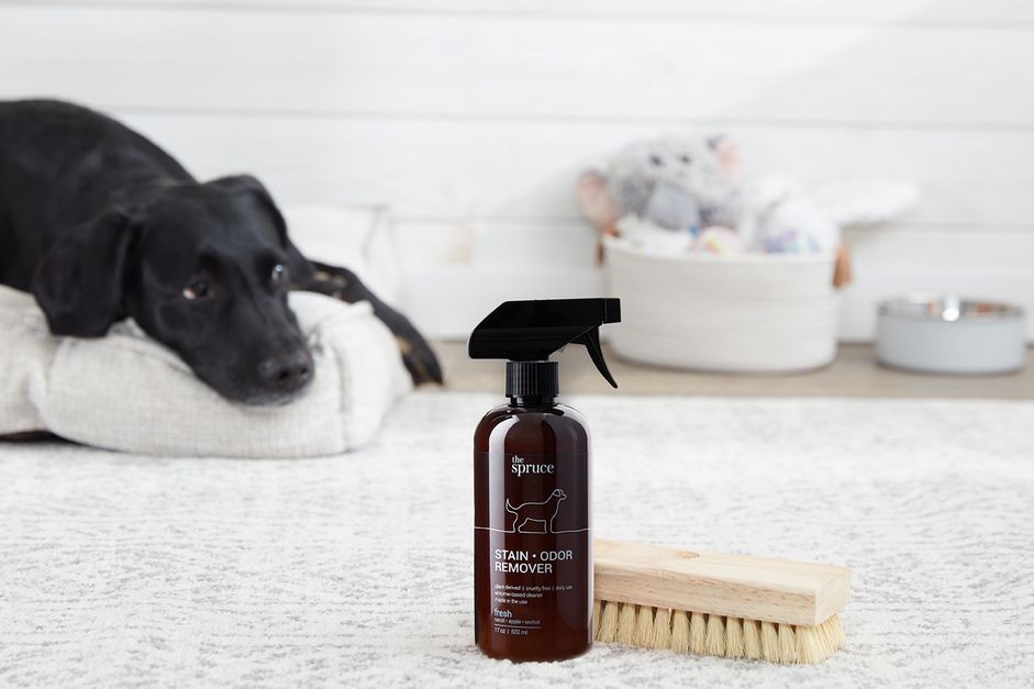 Professional Pet Stain & Odor Remover: Easy Steps for a Fresh Carpet