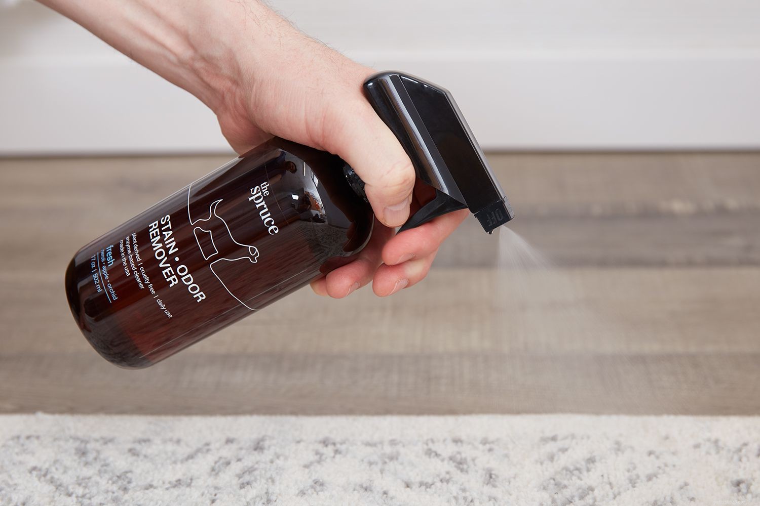 Professional Pet Stain & Odor Remover: Easy Steps for a Fresh Carpet