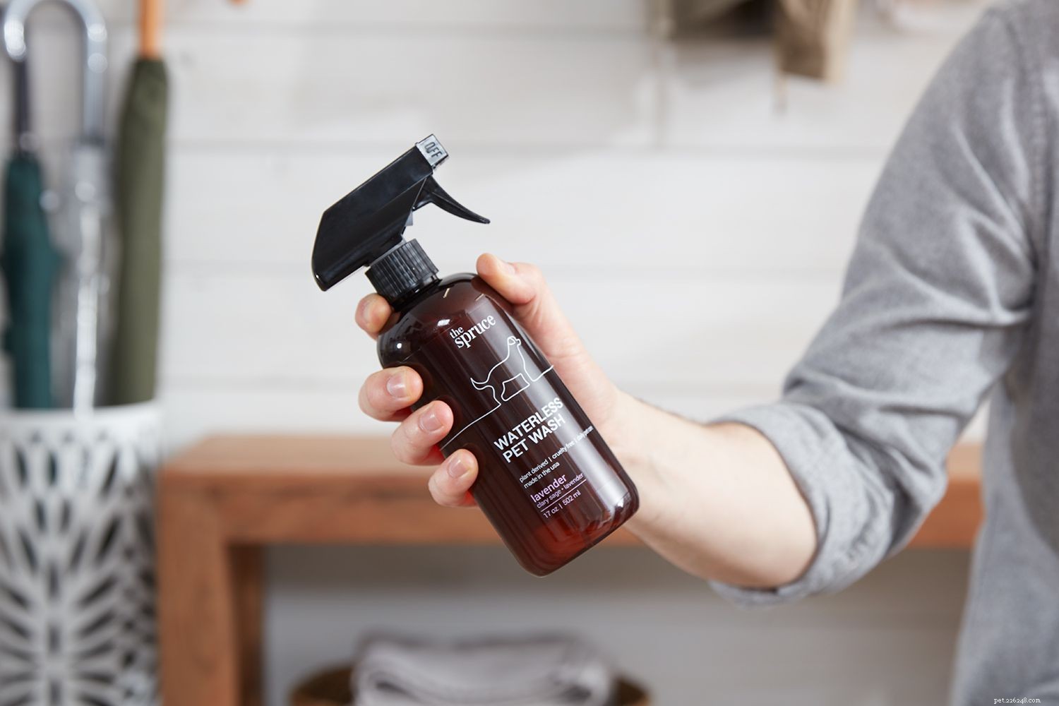 Master Waterless Pet Wash: Simple Steps for Fresh, Rinse-Free Grooming