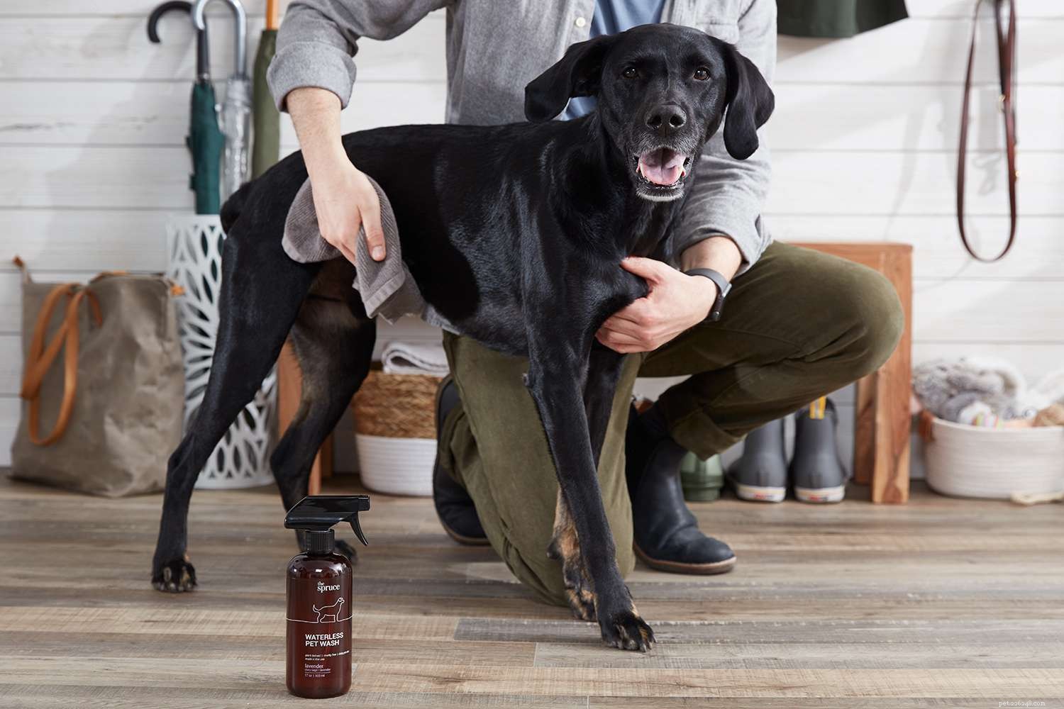 Master Waterless Pet Wash: Simple Steps for Fresh, Rinse-Free Grooming