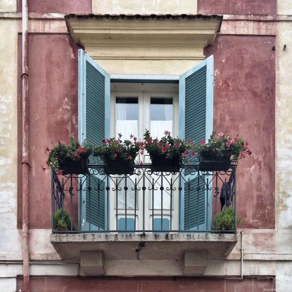 10 Essential Tips for Making Your Apartment Balcony Dog‑Friendly