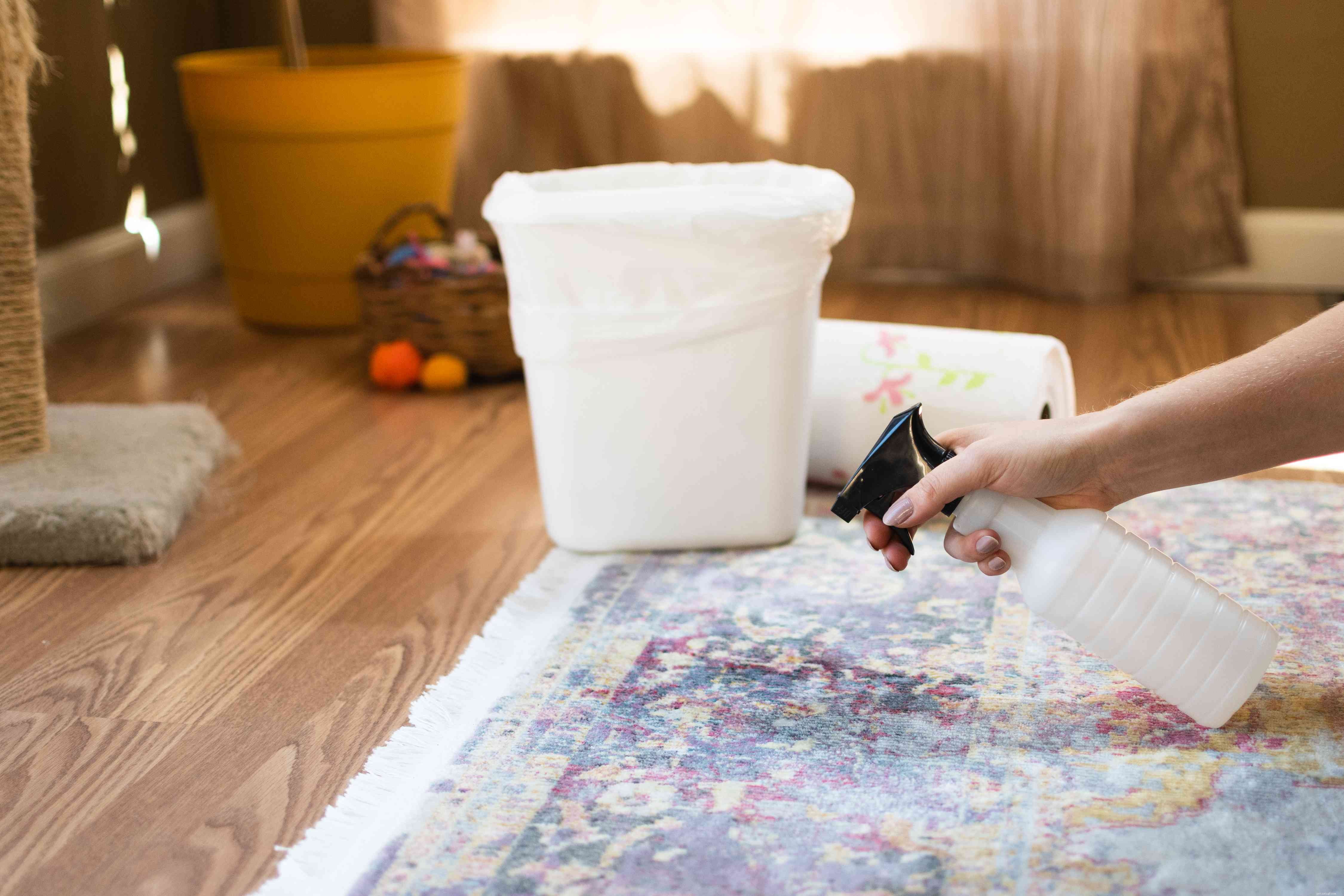 Mastering Cat Accident Cleanup: Expert Tips for a Spotless Home