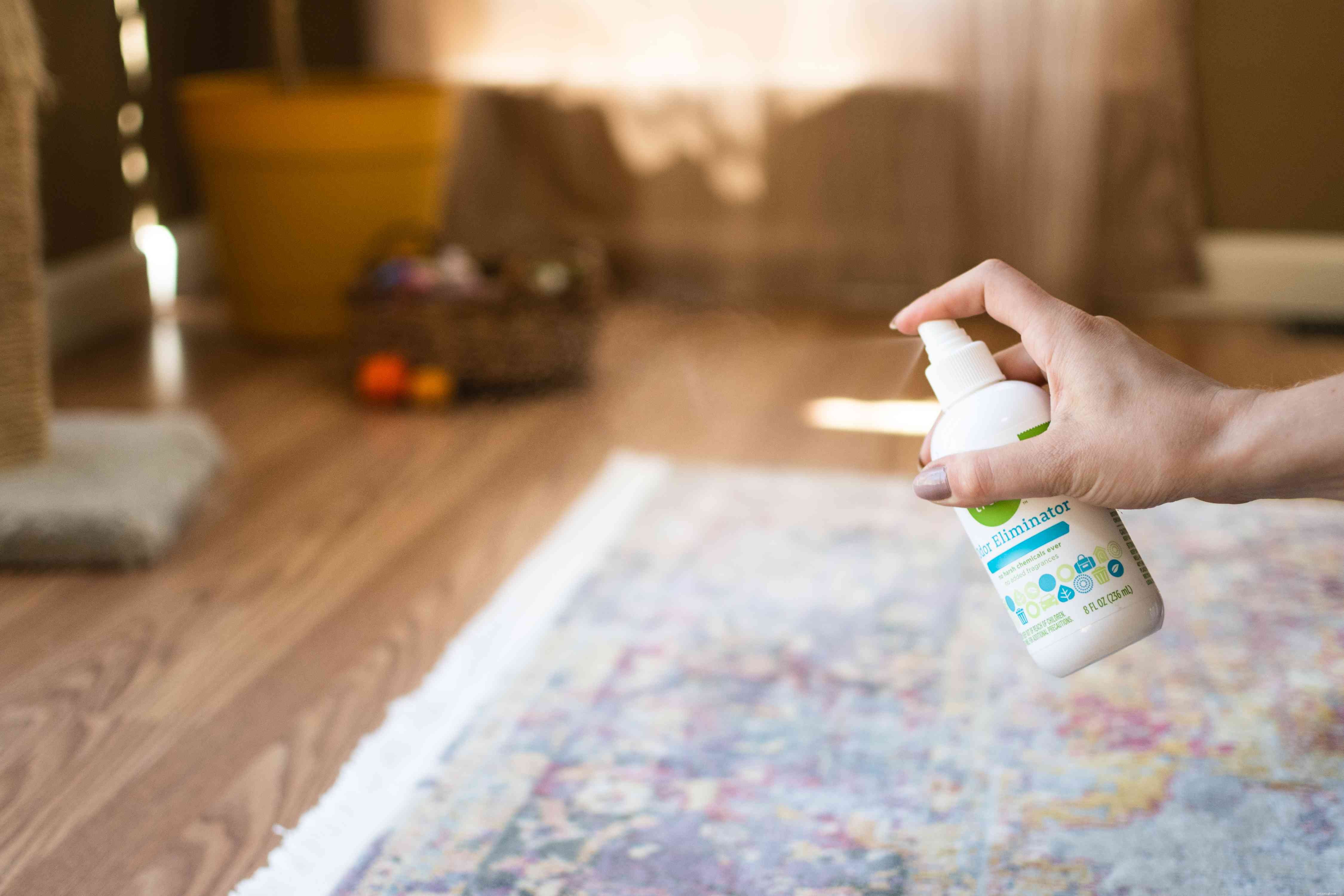 Mastering Cat Accident Cleanup: Expert Tips for a Spotless Home