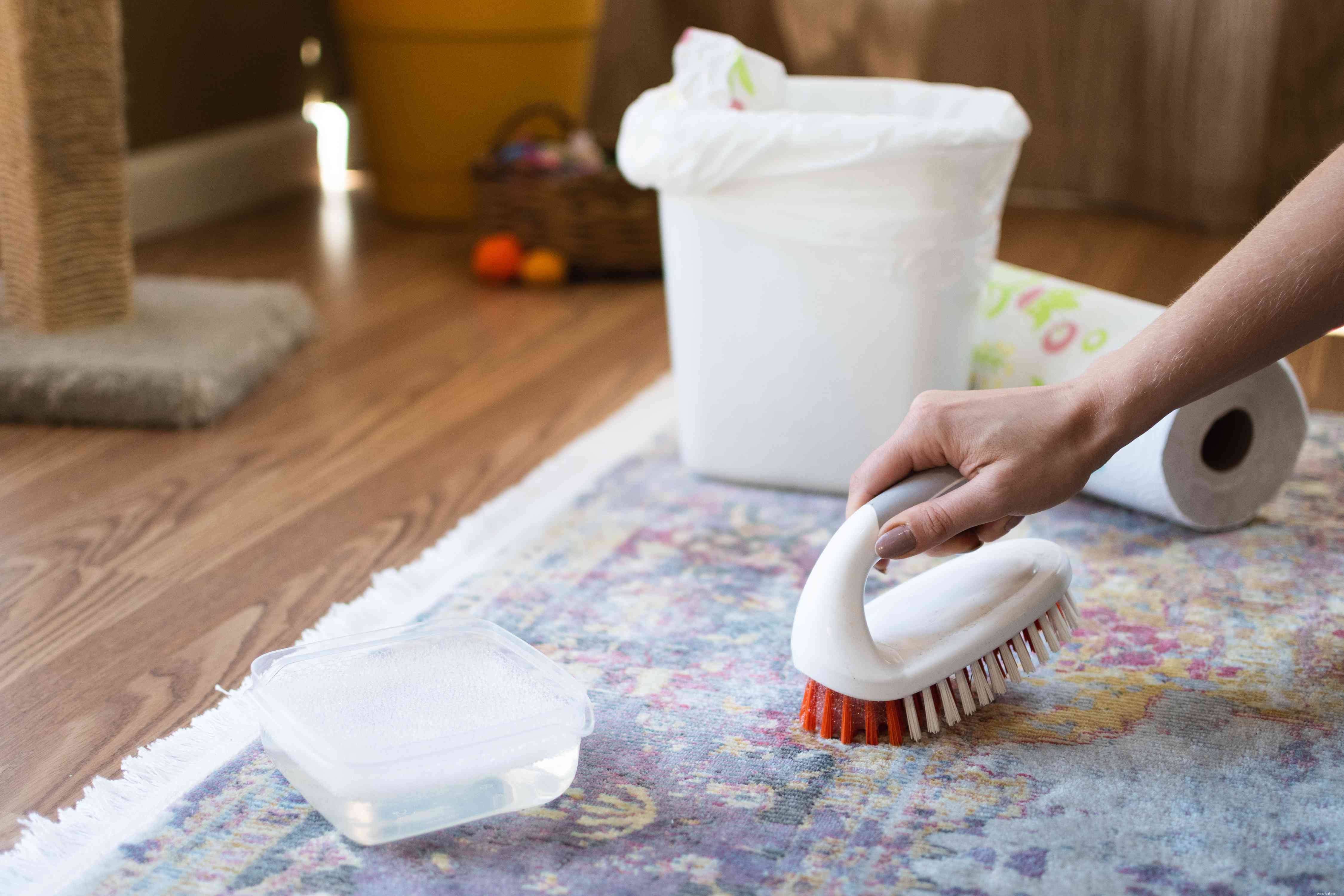 Mastering Cat Accident Cleanup: Expert Tips for a Spotless Home
