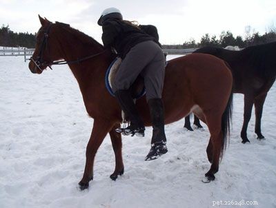 Mounting a Horse: A Beginner s Guide to Safe, Easy Rides