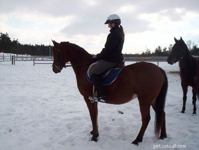 Mounting a Horse: A Beginner s Guide to Safe, Easy Rides