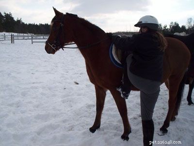 Mounting a Horse: A Beginner s Guide to Safe, Easy Rides