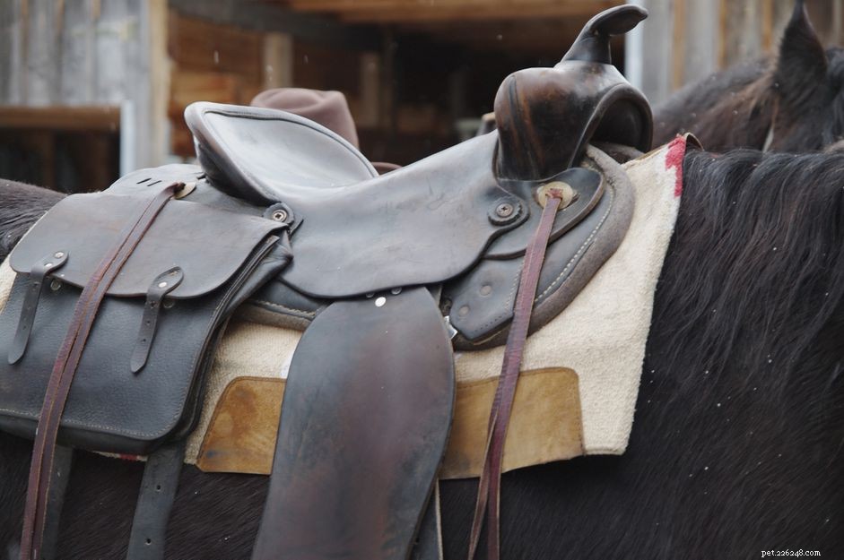 Mastering Horse Saddling: Safe & Comfortable Techniques for English & Western Rides